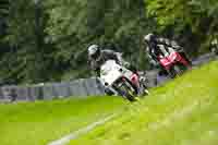 brands-hatch-photographs;brands-no-limits-trackday;cadwell-trackday-photographs;enduro-digital-images;event-digital-images;eventdigitalimages;no-limits-trackdays;peter-wileman-photography;racing-digital-images;trackday-digital-images;trackday-photos